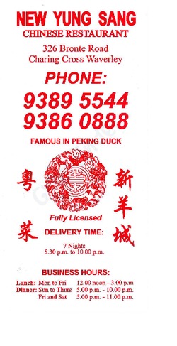 Scanned takeaway menu for New Yung Sang Chinese